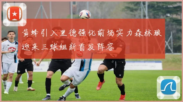 黄蜂引入里德强化前场实力森林狼迎来三球组新首发阵容